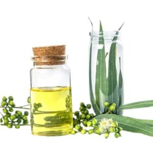 Pure Eucalyptus Oil – Natural Essential Oil for Cold Relief, Steam, and Aromatherapy | யூகலிப்டஸ் எண்ணெய்