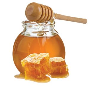 Wild Forest Honey Jar – Pure Raw Forest Honey from Tamil Nadu | காட்டு தேன்