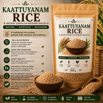 Kaatu Yaanam